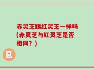 赤灵芝跟红灵芝一样吗(赤灵芝与红灵芝是否相同？)
