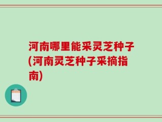 河南哪里能采灵芝种子(河南灵芝种子采摘指南)