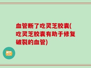 血管断了吃灵芝胶囊(吃灵芝胶囊有助于修复破裂的血管)