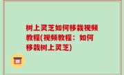 树上灵芝如何移栽视频教程(视频教程：如何移栽树上灵芝)