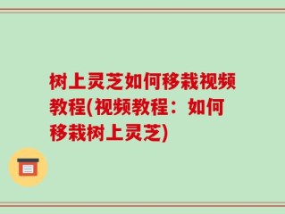树上灵芝如何移栽视频教程(视频教程：如何移栽树上灵芝)
