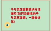 千年灵芝面膜收纳方法图片(如何妥善收纳千年灵芝面膜，一图告诉你)
