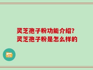 灵芝孢子粉功能介绍？灵芝孢子粉是怎么样的