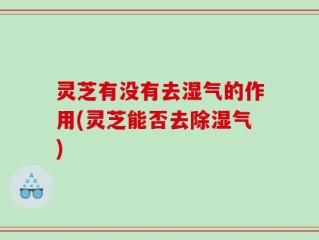 灵芝有没有去湿气的作用(灵芝能否去除湿气)