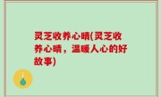 灵芝收养心晴(灵芝收养心晴，温暖人心的好故事)