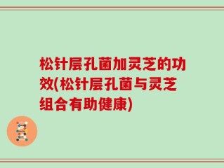 松针层孔菌加灵芝的功效(松针层孔菌与灵芝组合有助健康)