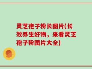 灵芝孢子粉长图片(长效养生好物，来看灵芝孢子粉图片大全)