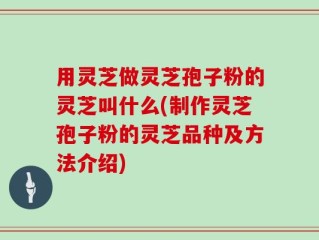 用灵芝做灵芝孢子粉的灵芝叫什么(制作灵芝孢子粉的灵芝品种及方法介绍)