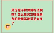 灵芝孢子粉保健吃法视频？怎么用灵芝赚钱朋友的种植基地灵芝太多了