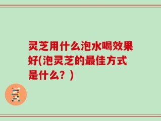 灵芝用什么泡水喝效果好(泡灵芝的最佳方式是什么？)