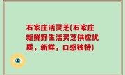 石家庄活灵芝(石家庄新鲜野生活灵芝供应优质，新鲜，口感独特)
