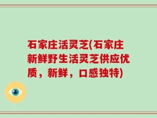 石家庄活灵芝(石家庄新鲜野生活灵芝供应优质，新鲜，口感独特)