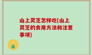 山上灵芝怎样吃(山上灵芝的食用方法和注意事项)