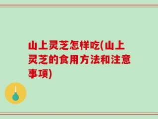 山上灵芝怎样吃(山上灵芝的食用方法和注意事项)