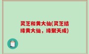 灵芝和黄大仙(灵芝结缘黄大仙，缘聚天成)