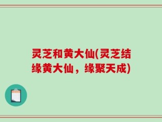 灵芝和黄大仙(灵芝结缘黄大仙，缘聚天成)