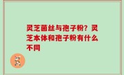 灵芝菌丝与孢子粉？灵芝本体和孢子粉有什么不同