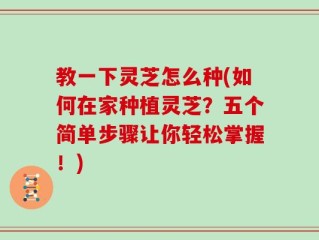 教一下灵芝怎么种(如何在家种植灵芝？五个简单步骤让你轻松掌握！)