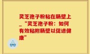 灵芝孢子粉粘在肠壁上_“灵芝孢子粉：如何有效粘附肠壁以促进健康”