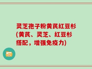 灵芝孢子粉黄芪红豆杉(黄芪、灵芝、红豆杉搭配，增强免疫力)