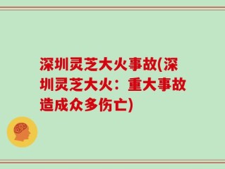 深圳灵芝大火事故(深圳灵芝大火：重大事故造成众多伤亡)