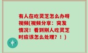 有人在吃灵芝怎么办呀视频(视频分享：突发情况！看到别人吃灵芝时应该怎么处理？！)