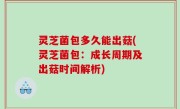 灵芝菌包多久能出菇(灵芝菌包：成长周期及出菇时间解析)