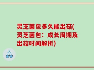 灵芝菌包多久能出菇(灵芝菌包：成长周期及出菇时间解析)