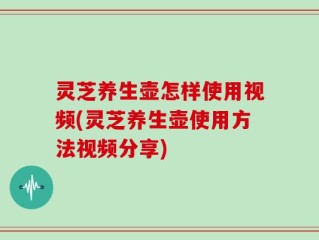 灵芝养生壶怎样使用视频(灵芝养生壶使用方法视频分享)