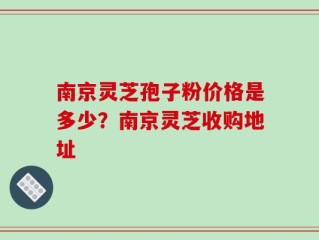南京灵芝孢子粉价格是多少？南京灵芝收购地址