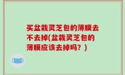 买盆栽灵芝包的薄膜去不去掉(盆栽灵芝包的薄膜应该去掉吗？)