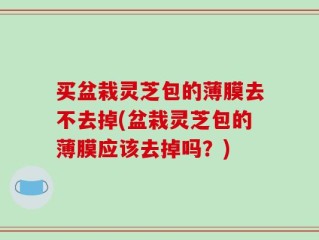 买盆栽灵芝包的薄膜去不去掉(盆栽灵芝包的薄膜应该去掉吗？)