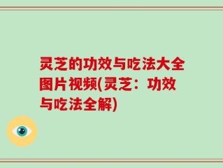 灵芝的功效与吃法大全图片视频(灵芝：功效与吃法全解)