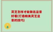 灵芝怎样才能做出盆景好看(打造精美灵芝盆景的技巧)