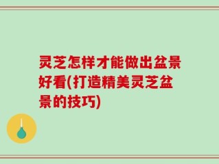 灵芝怎样才能做出盆景好看(打造精美灵芝盆景的技巧)