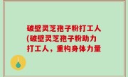破壁灵芝孢子粉打工人(破壁灵芝孢子粉助力打工人，重构身体力量
