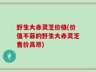 野生大赤灵芝价格(价值不菲的野生大赤灵芝售价高昂)