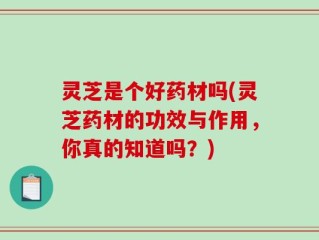 灵芝是个好药材吗(灵芝药材的功效与作用，你真的知道吗？)