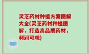 灵芝药材种植方案图解大全(灵芝药材种植图解，打造高品质药材，利润可观)