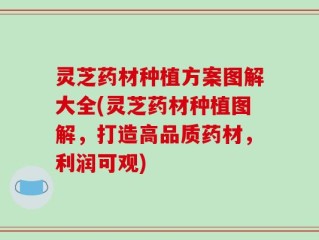 灵芝药材种植方案图解大全(灵芝药材种植图解，打造高品质药材，利润可观)