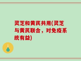 灵芝和黄芪共用(灵芝与黄芪联合，对免疫系统有益)