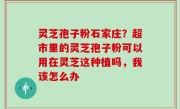 灵芝孢子粉石家庄？超市里的灵芝孢子粉可以用在灵芝这种植吗，我该怎么办