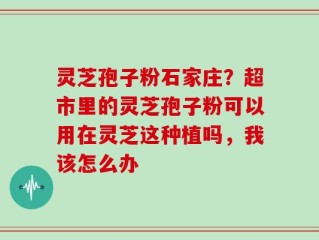 灵芝孢子粉石家庄？超市里的灵芝孢子粉可以用在灵芝这种植吗，我该怎么办