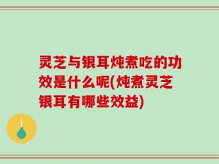 灵芝与银耳炖煮吃的功效是什么呢(炖煮灵芝银耳有哪些效益)