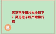灵芝孢子图片大全镜下？灵芝孢子粉产地排行榜
