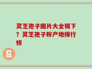 灵芝孢子图片大全镜下？灵芝孢子粉产地排行榜
