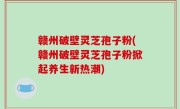 赣州破壁灵芝孢子粉(赣州破壁灵芝孢子粉掀起养生新热潮)