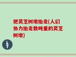 把灵芝树墩抬走(人们协力抬走数吨重的灵芝树墩)