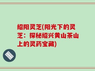 绍阳灵芝(阳光下的灵芝：探秘绍兴黄山茶山上的灵药宝藏)