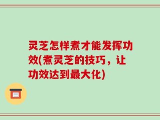 灵芝怎样煮才能发挥功效(煮灵芝的技巧，让功效达到最大化)